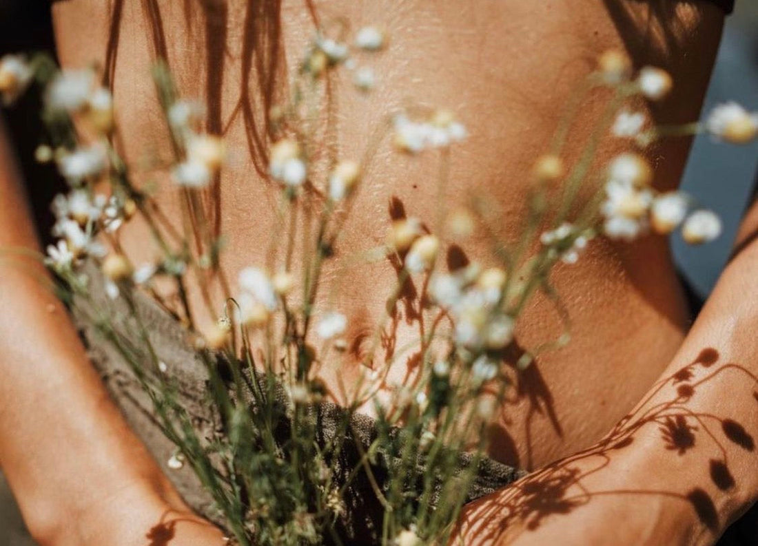 femme ventre cycle plantes médicinales
