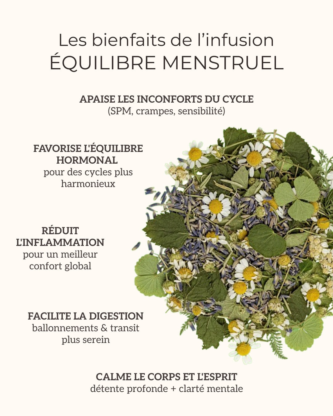 Cure 3 Mois Infusion Équilibre Menstruel