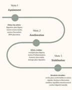 Cure 3 Mois Infusion Équilibre Menstruel